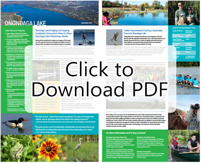 Download Fact Sheet PDF