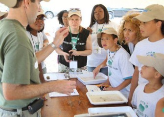 Volunteers examine insects and other species with assistance from staff volunteers