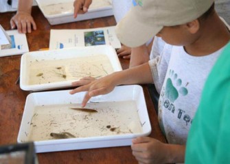 A volunteer examines a small fish collected from Nine Mile Creek