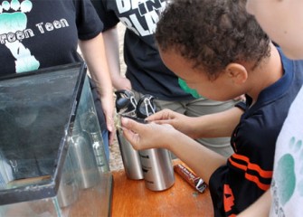 Volunteers took creek samples, noting species type, quantity, and diversity.