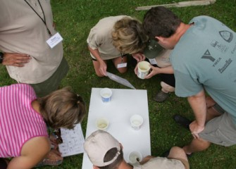 Honeywell Institute for Ecosystems Education Teachers Examine a Variety of Organisms Found in Saw Mill Creek, Willow Bay in Liverpool