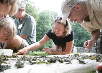 Honeywell Institute for Ecosystems Education Teachers Explore their Findings from Saw Mill Creek