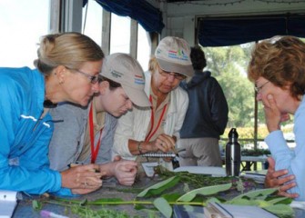 Teachers Identify a Variety of Plant Species Found Near Onondaga Lake.