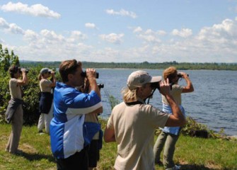 Teachers Observe Native Birds on and Around Onondaga Lake.