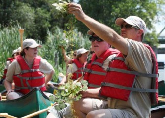 Teachers Examine the Water Chestnuts They Removed from Onondaga Lake.