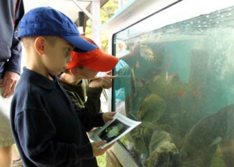 Young Sportsmen Observe the Different Types of Fish that Were Taken from Onondaga Lake.