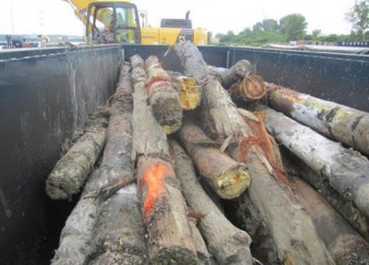 The wood pilings are stacked in containers