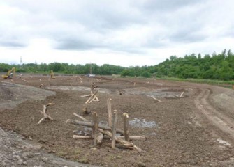 Timbers are placed in deeper wetland areas before the water is returned