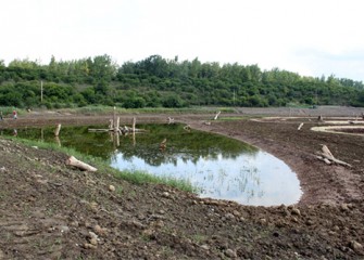 Water pool in the new wetlands