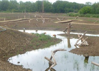 Planting by hand continues in the wetlands