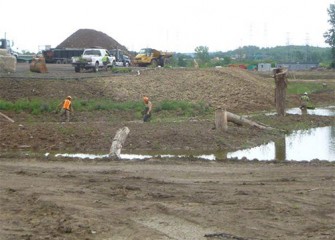 Native species are planted, both on land and in water