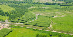 greenpractices2