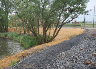 Areas at the lakeshore are cleaned and reseeded