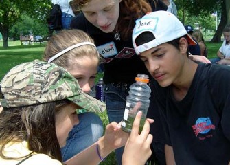 Macroinvertebrates from Onondaga Lake