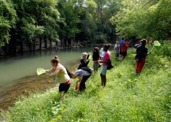 Students Participating in Honeywell Summer Science Week at the MOST Collect Field Samples from Onondaga Creek