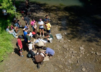 Summer Scientists Share their Findings from Onondaga Creek