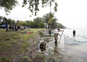 Catching Onondaga Lake Wildlife