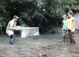 Onondaga Creek Kick-net Sampling