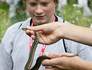 Cameron McIntyre Examine a Reptile