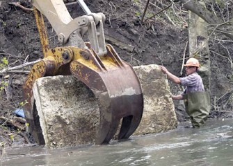 Creek Cleanup