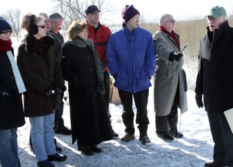 Shrub Willow Harvesting Tour