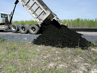 Adding Biosolids and Yard Compost to the Soil Enhance Growth of the Shrub Willows