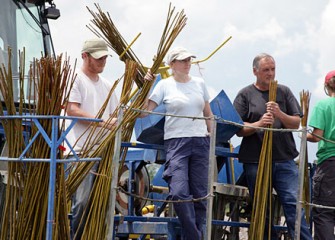 SUNY-ESF Students Prepare to Plant Shrub Willows