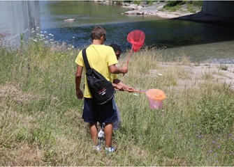 A team leader assists a student, catching insect specimens to monitor and observe