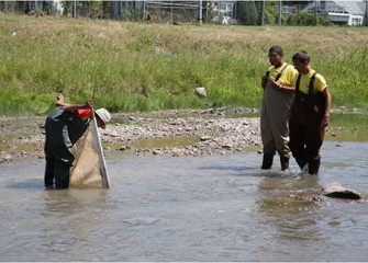 Honeywell Summer Science Week at the MOST participants use a kick-seine net at Onondaga Creek to collect and examine aquatic macroinvertebrates.