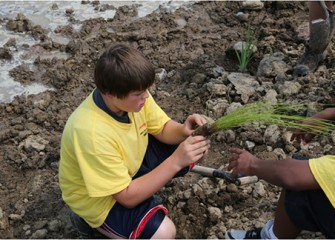 Students help to restore the Geddes Brook wetlands by planting native shrubs and aquatic plants