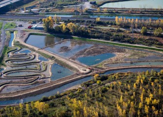 Geddes Brook Wetlands