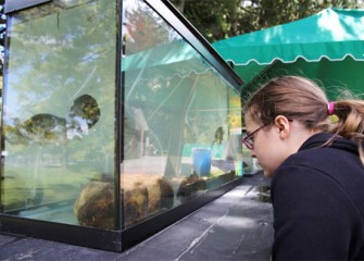 Hailey Vertigan, of Elbridge, N.Y., looks at fish from Onondaga Lake on display during the 2012 Honeywell Sportsmen's Days at Carpenter's Brook.