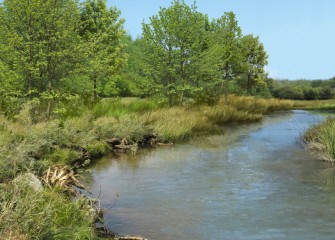 Artist’s rendering of future Nine Mile Creek