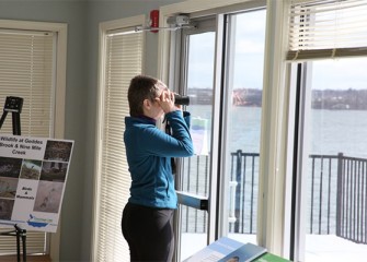 Waterfowl are visible on Onondaga Lake from the Visitors Center.