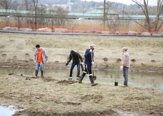 Leadership Greater Syracuse Class of 2012 volunteers plant more than 200 native shrubs, plants and trees along Nine Mile Creek.