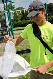 Clark Strang, a Skaneateles Middle School student, uses a net at Munro Park to collect and examine bugs.