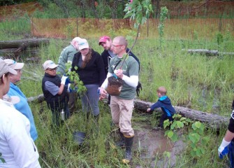 Tony Eallonardo, Ph.D., project scientist at O’Brien & Gere, shows Bryant & Stratton College volunteers how to remove plants from pots and prepare the roots.