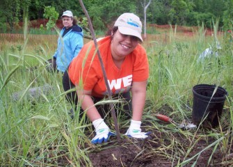 Native species will help re-establish habitat at Harbor Brook that was once dominated by invasive species.