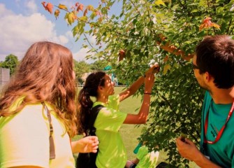 Summer Science Week students participate in many field activities throughout the week.