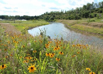 Nine Mile Creek and its habitat will continue to improve as plants mature.