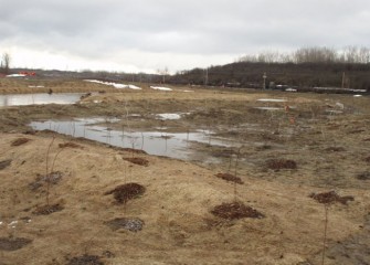 Native trees and shrubs lie dormant until spring.