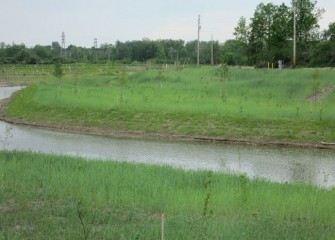 Nine Mile Creek is becoming part of a green corridor connecting habitat from Onondaga Lake to the Geddes Brook wetlands.