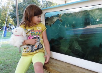 Anna Rose O’Dett, of Fulton, observes Onondaga Lake fish on display at Honeywell Sportsmen’s Days.