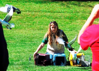 A volunteer from the Rosamond Gifford Zoo provides a homing pigeon demonstration.