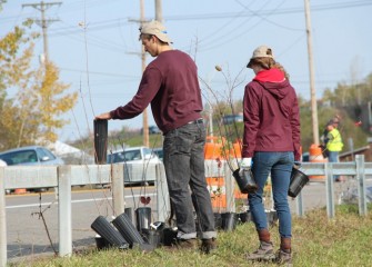 Corps volunteers carry trees and shrubs to the planting area along Nine Mile Creek.