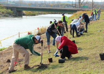 The area planted is not far from the Nine Mile Creek canoe launch, which will reopen in 2014.
