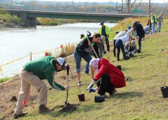 The area planted is not far from the Nine Mile Creek canoe launch, which will reopen in 2014.