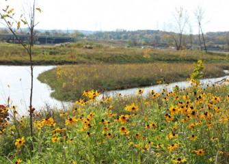 To date, nearly 10 of 30 acres of Nine Mile Creek have been restored.