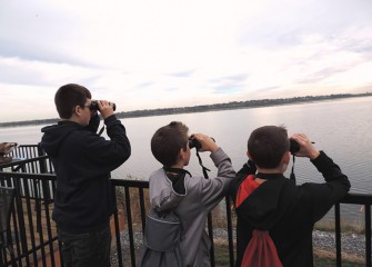 Audubon established Onondaga Lake as an Important Bird Area in 1997 because of its habitat value for migrating waterfowl.