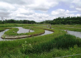 Geddes Brook’s new more natural meandering channel is designed to flood adjacent wetlands during high water periods.